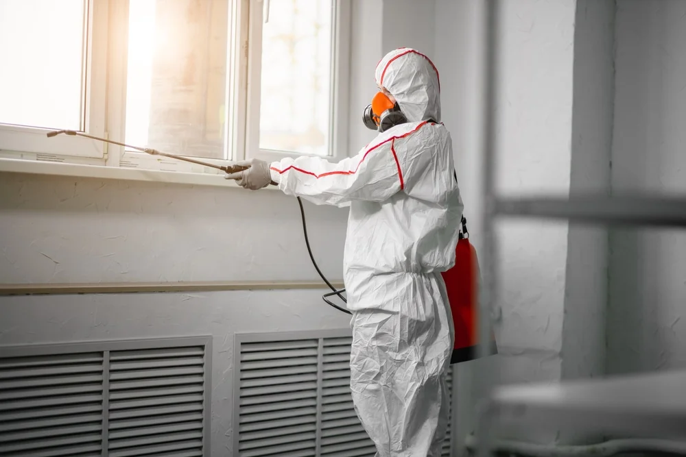 Professional mold remediation services in Gretna, NE